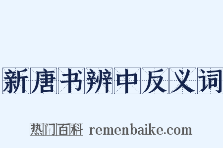 新唐书辨中反义词是什么意思的图片
